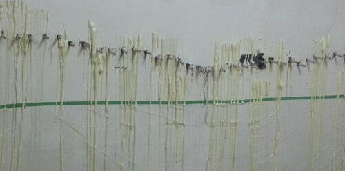 佛山防水补漏公司